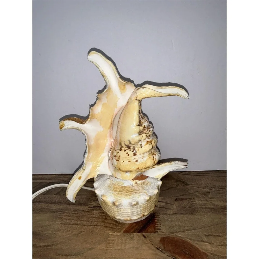 Vintage Real Conch Shell Lamp Night Light Accent Light w/ In-Line Power Switch